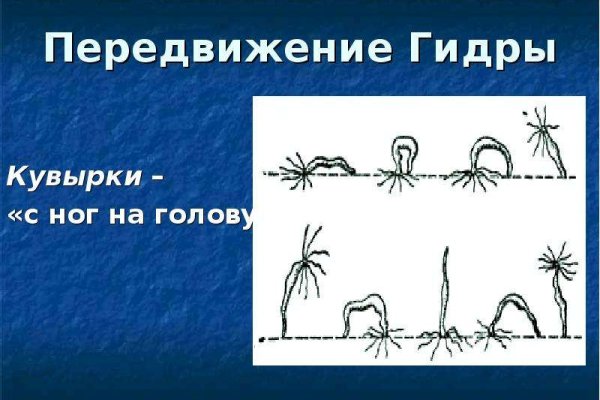 Kraken зайти на сайт